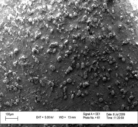 Fig 4.2. SEM image showing the morphology of the fracture surface of mill mixed CIIR nanocomposites containing 5 phr of layered silicate.