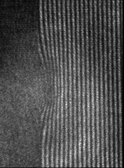 100 µm (c) 20