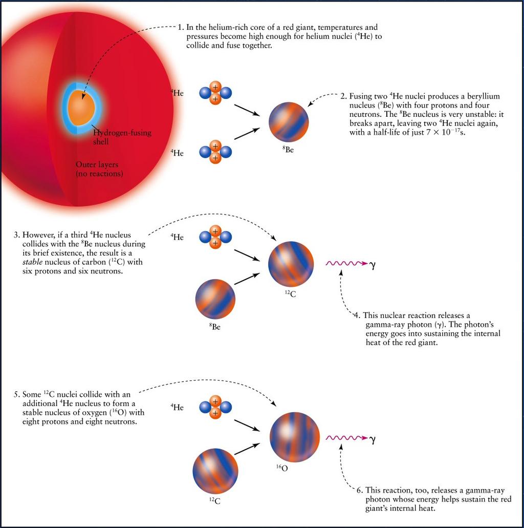 Helium fuses via the triple- alpha process (see on- line