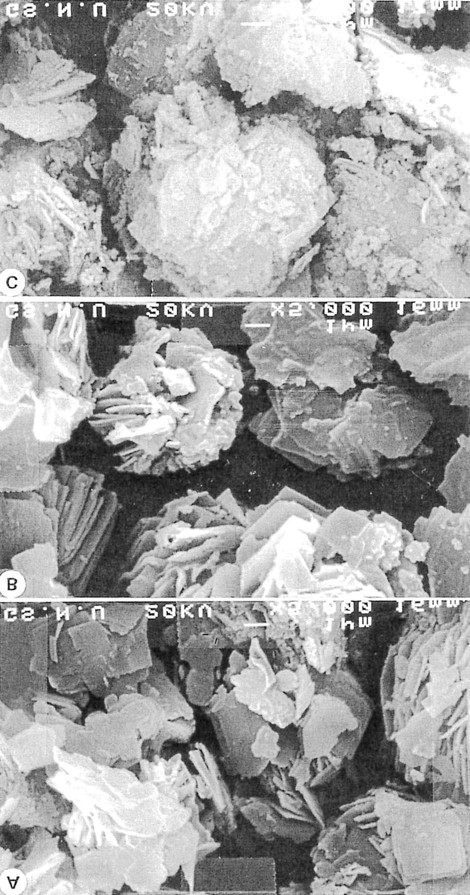 Silica-Pillared Molecular Sieves from Kenyaite Bull. Korean Chem. Soc. 1999, Vol. 20, No. 1 73 Figure 7.