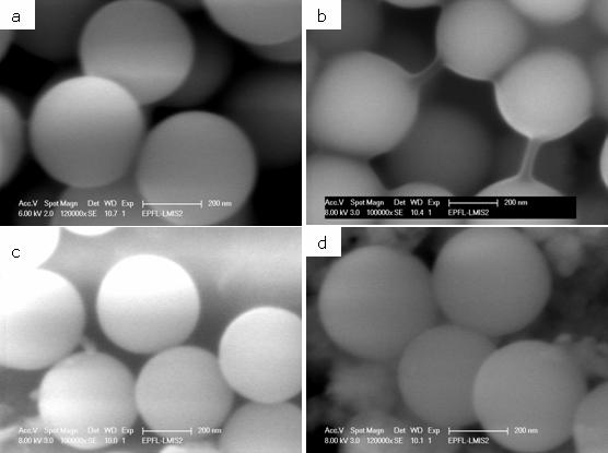 Figure S4: Characterization of the stability of the borosilicate nanoparticles.