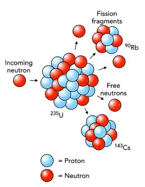 Uranium-235 can undergo fission Here the liquid drop model illustrates how the addition of a neutron can make a nucleus unstable While both isotopes of uranium can undergo fission,