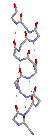 Protein Structure: primary (1 ) structure: the amino acid sequence secondary (2 ) structure: frequently occurring substructures