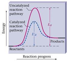 2 Rate ffecting Conditions ctivation energy, E a : The difference in potential energy between the reactant molecules and the activated complex The larger the E a, the slower the rxn The E to overcome