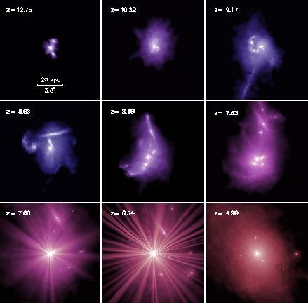 SMGs and Quasar hosts: Building large elliptical galaxies (and SMBH) in major gas rich mergers Stellar mass 10 11 M o forms in a few gas rich mergers starting, driving SFR >10 3 M o /yr 10 SMBH of ~