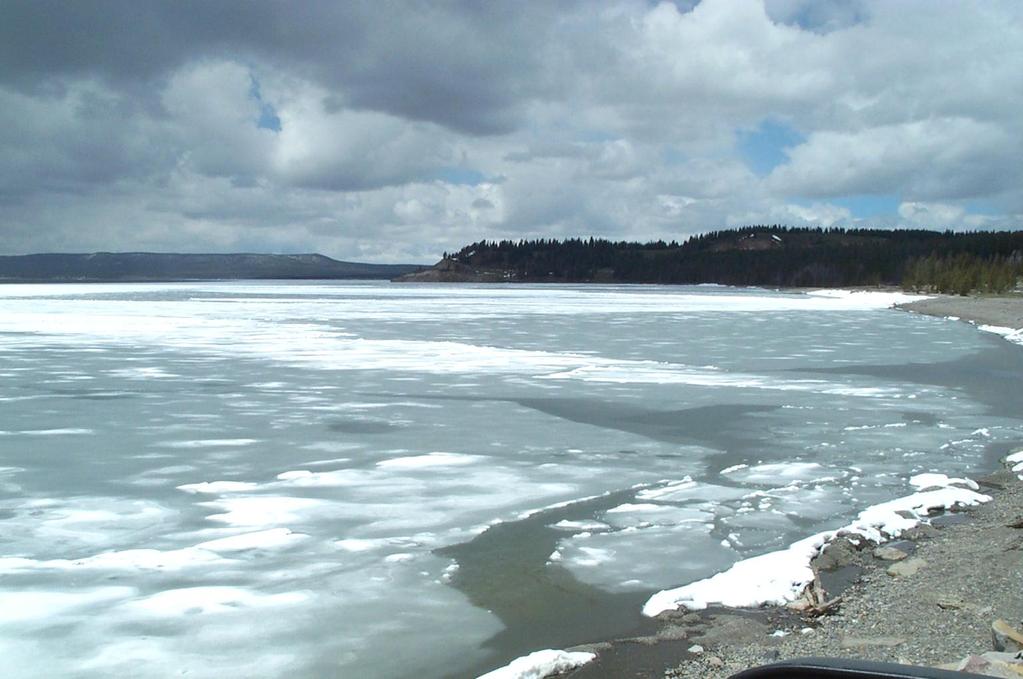 Yellowstone Lake - Frozen Do you know that fish live below frozen lakes? How?