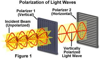 The polarizing direction of the first polarizer is oriented vertically to the incident