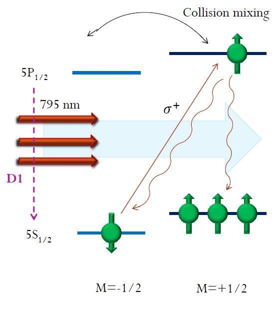 Polarized 3He Introduction 3 He: Effective polarized neutron target ~90% ~1.