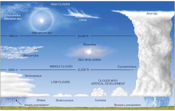 surface and vertical development. A cumulonimbus cloud.