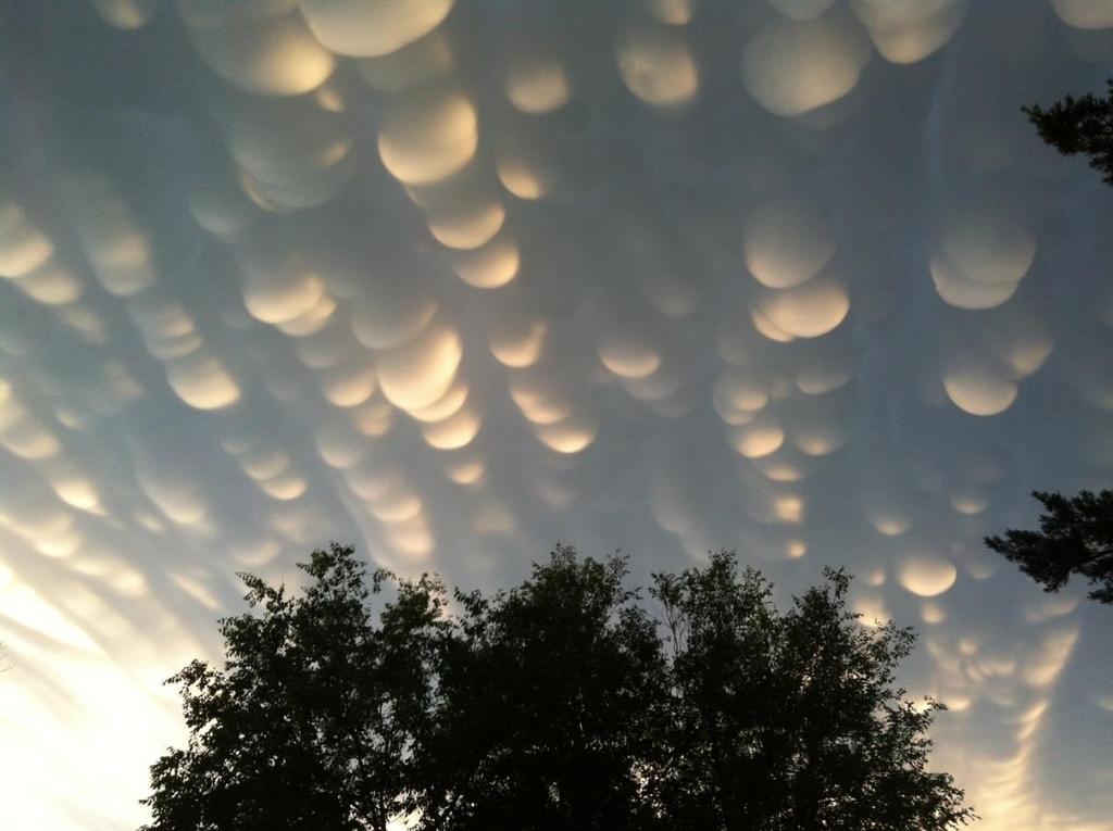 Cloud Classification Cloud varieties: Mammatus clouds have udder-shaped