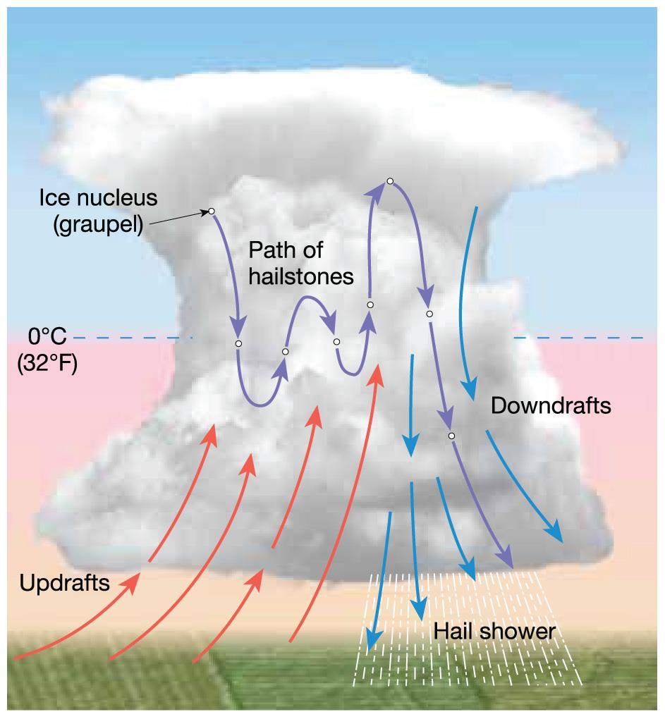 Forms of Precipitation Hail is precipitation in the form of hard, rounded pellets of ice.