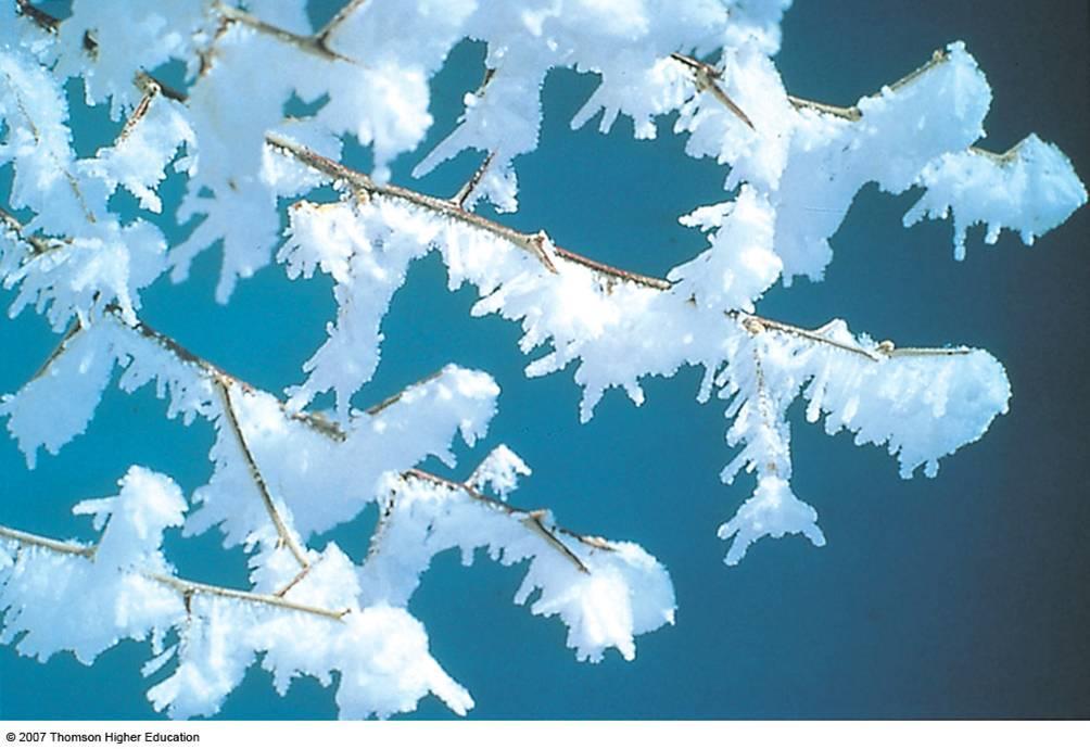 Forms of Precipitation Rime is a deposit of ice crystals, formed on surface objects by