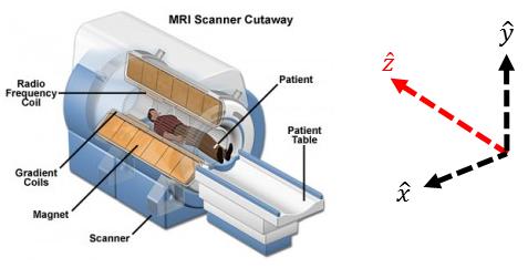 Figure 1.3: Schematic of MRI scanner field whose directions are either aligned with the z-axis or orthogonal to it.