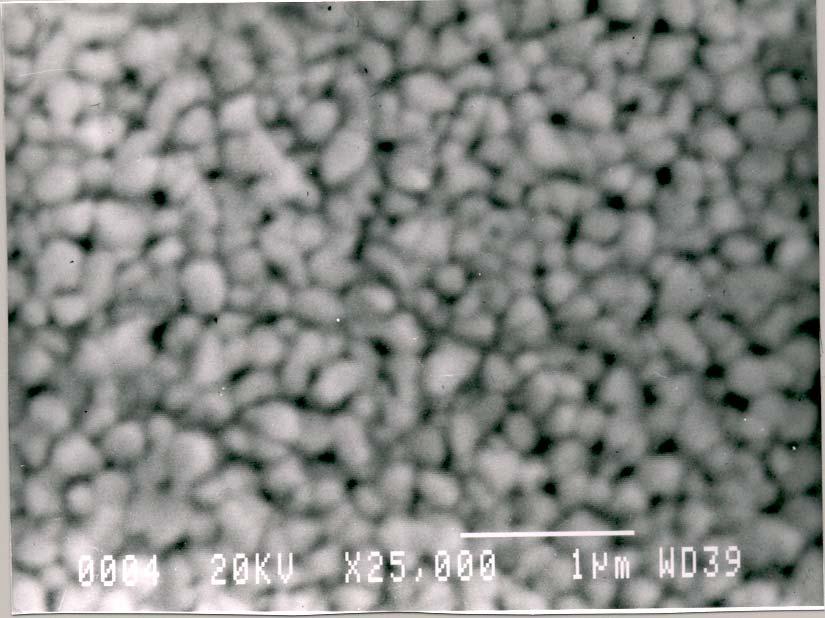 SEM picture of BiFeO 3 thin film grown