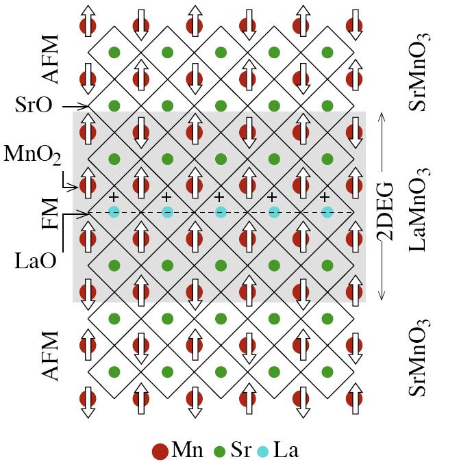 III. Spin polarized 2DEG: The LaMnO 3 /SrMnO 3 system Spin-up Spin-down