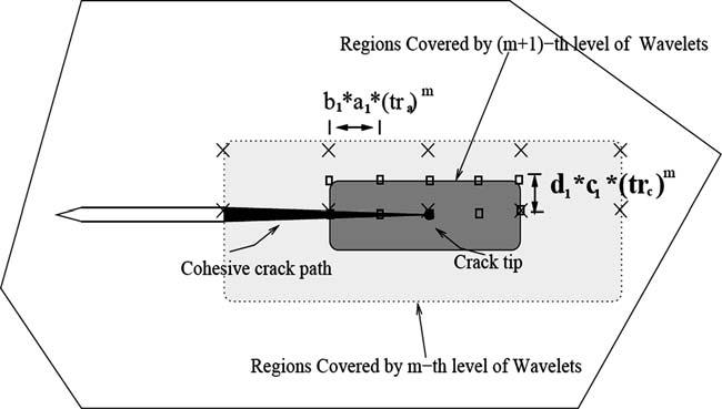 378 S.Li,S.Ghosh Fig. 3 Schematic diagram of an extended VC element, exhibiting the crack tip region and the surrounding region of multi-level wavelet representation.