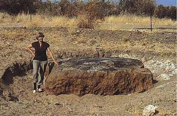 Some meteorites can be large The Hoba iron-nickel meteorite, in