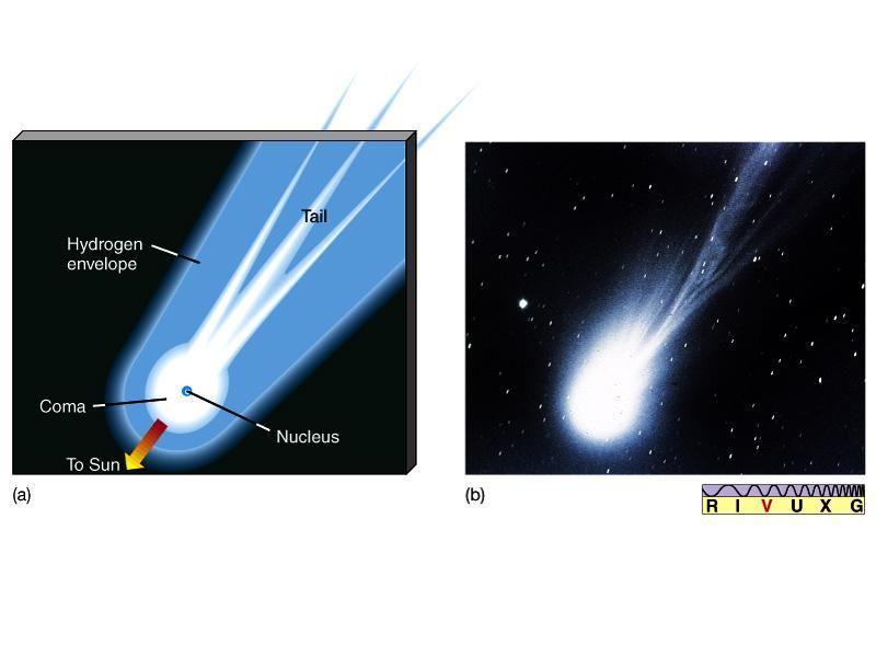 Comets Astronomer Fred Whipple named them Dirty snowballs they are composed of dust and rock in methane, ammonia and water ices The light we received from a comet comes from two sources: reflected