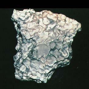 This is one fragment of the Sikhote-Alin meteorite It is about 15 cm across The photograph shows