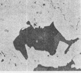 Note the development of crystal faces on both the inner and outer borders. Bullard's Peak district, New Mexico. X 75. FIG. 6.
