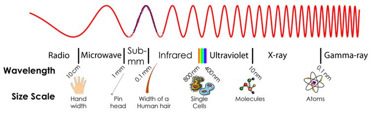 Electromagnetic Spectrum Note that radio waves have the