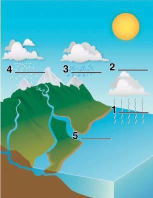 What Do You Know? This diagram shows the main parts of the water cycle.