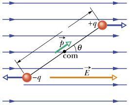 Electric Dipoles in Electric fields A uniform external electric field exerts no net force