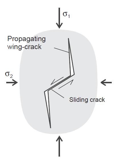 cracks are formed and due to the absence of confining pressure they coalesce after some time (after Germanovich and Dyskin 1999).