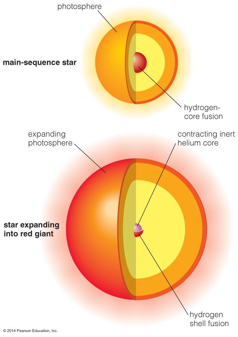 Red Giants: Broken Thermostat As the core contracts, H begins fusing to He in a shell around the core.