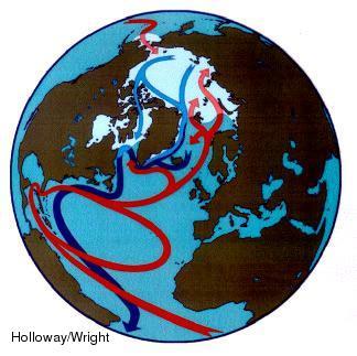 Subsurface currents thermohaline circulation Are caused by the density of water. The thermohaline circulation acts like a huge 'conveyer belt' connecting the surface and subsurface circulations.