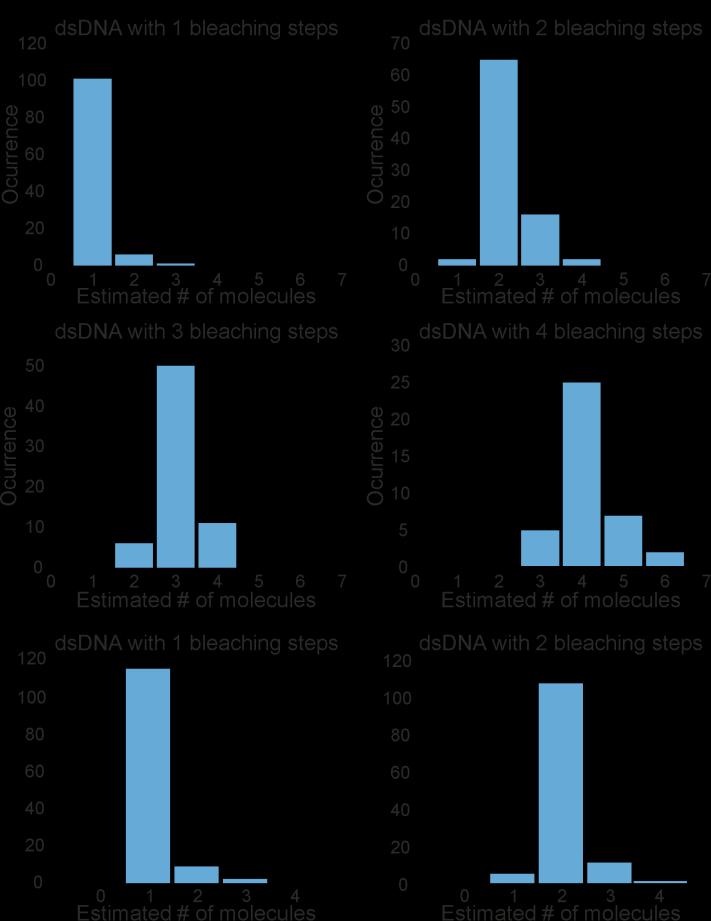 Supplementary Figure 2: Comparison of the estimated number of molecules obtained with photon statistics or by analyzing bleaching steps Double stranded DNA (dsdna) conjugated with up to 4 ATTO 647N