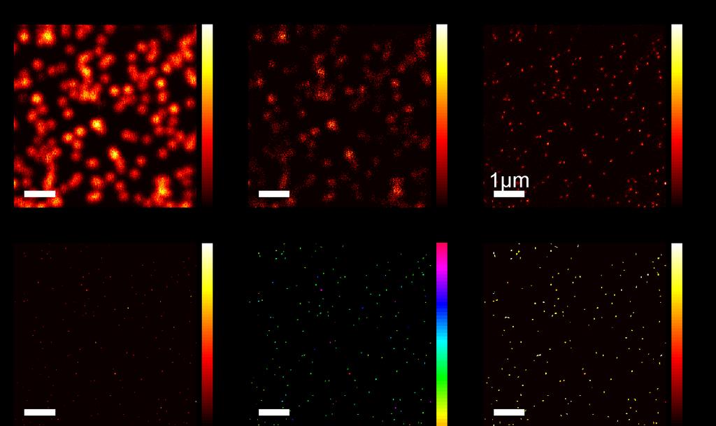 Supplementary Figure 5: Mapping molecule distributions of immobilized dsdna in the combination of confocal and STED microscopy through analysis of coincident photon detection ATTO 647N labelled dsdna