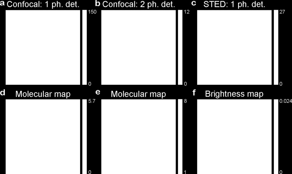 (a,b) 1- and 2-photon detection confocal images of dsdna on surface. (c) 1-photon detection STED image of the same area as a. (d,e) Molecular map based on the photon statistics of a, b and c.