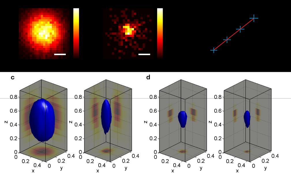 Supplementary Figure 8: Comparison of 2D and 3D molecular counting of single dsdnas dsdna is immobilized on the glass surface and imaged on multiple z positions (100 nm distance between two immediate