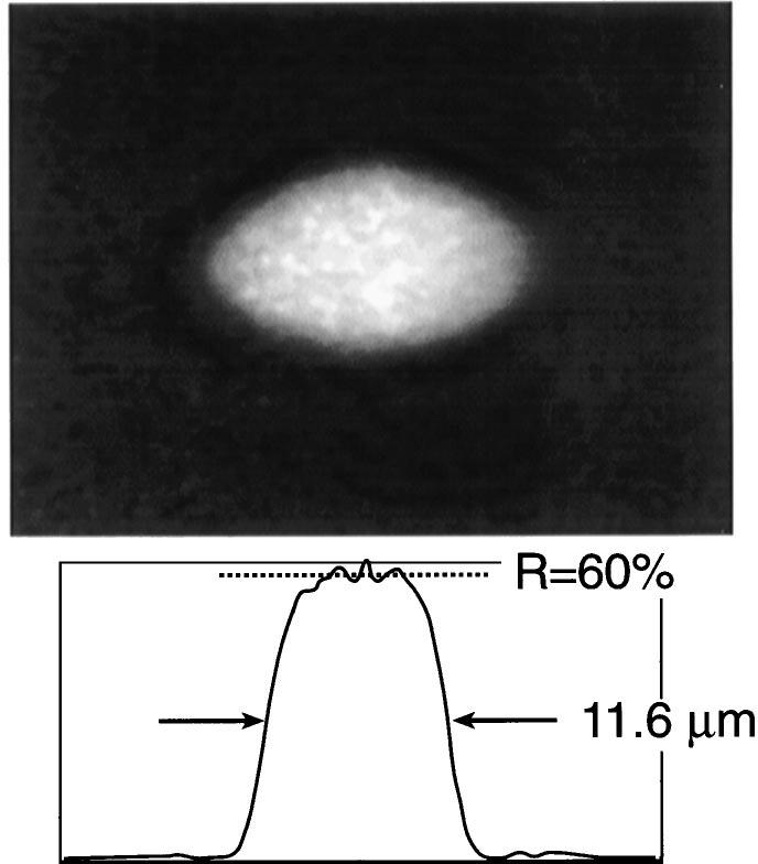 218 J. Opt. Soc. Am. B/Vol. 13, No. 1/January 1996 D. von der Linde and H. Schüler Fig. 3. Top: micrograph of the surface of a magnesium fluoride sample 200 fs after the pump-pulse maximum.