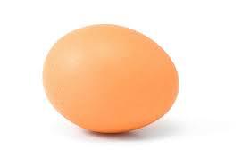Warm Up The egg (Ostrich egg Name 3 types of