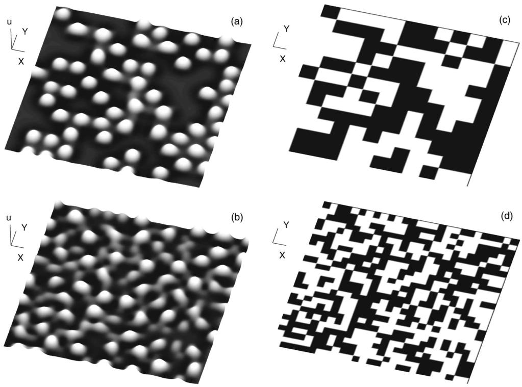 TURING PATTERN FORMATION INDUCED BY... PHYSICAL REVIEW E 63 056124 FIG. 2. Noise induced Turing structures in the Lengyel-Epstein two-variable model modified to include the effect of illumination.