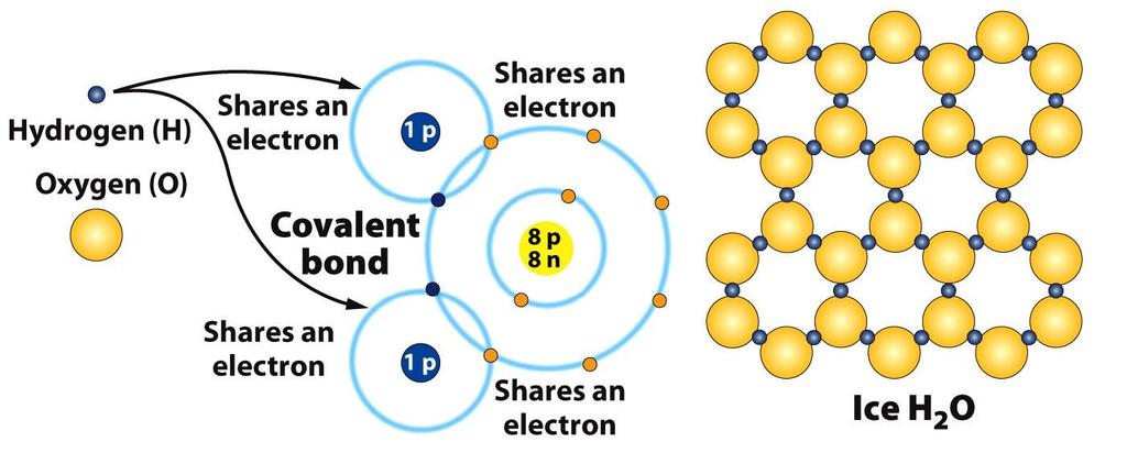 COVALENT BONDING to achieve a stable electron configuration METALLIC BONDING