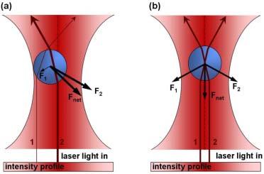 In a ray optics picture we realize how light is deflected in the particle, resulting in a gradient force that pushes the particle vertically to the