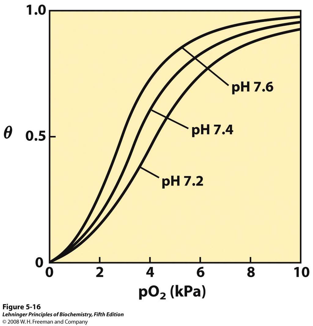 The ph of the solution can influence the oxygen or ligand binding