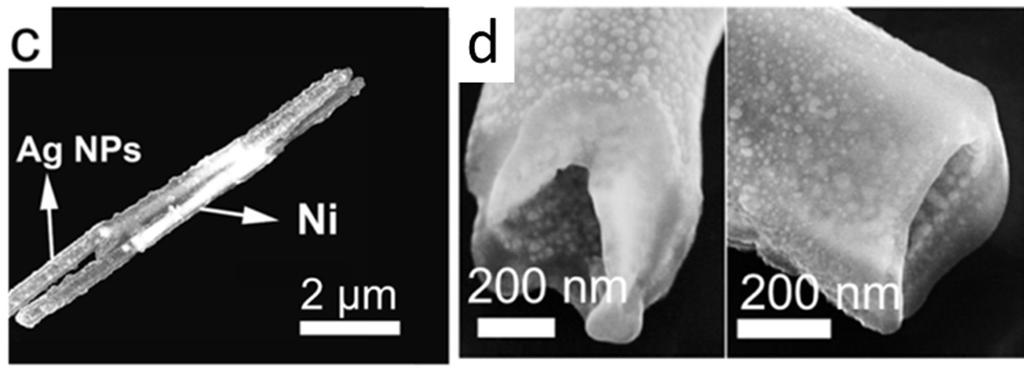 cross-sectional images of nanotubes obtained by FIB milling show the nanotubes are hollow with Ag NPs on both the inner and outer surfaces. With permission from [73]. Figure 12.