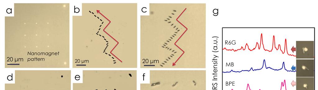 Sensors 2015, 15 10440 Figure 14. Nanocapsules can be precisely transported and assembled on the pre-patterned nanomagnets with electric tweezers.