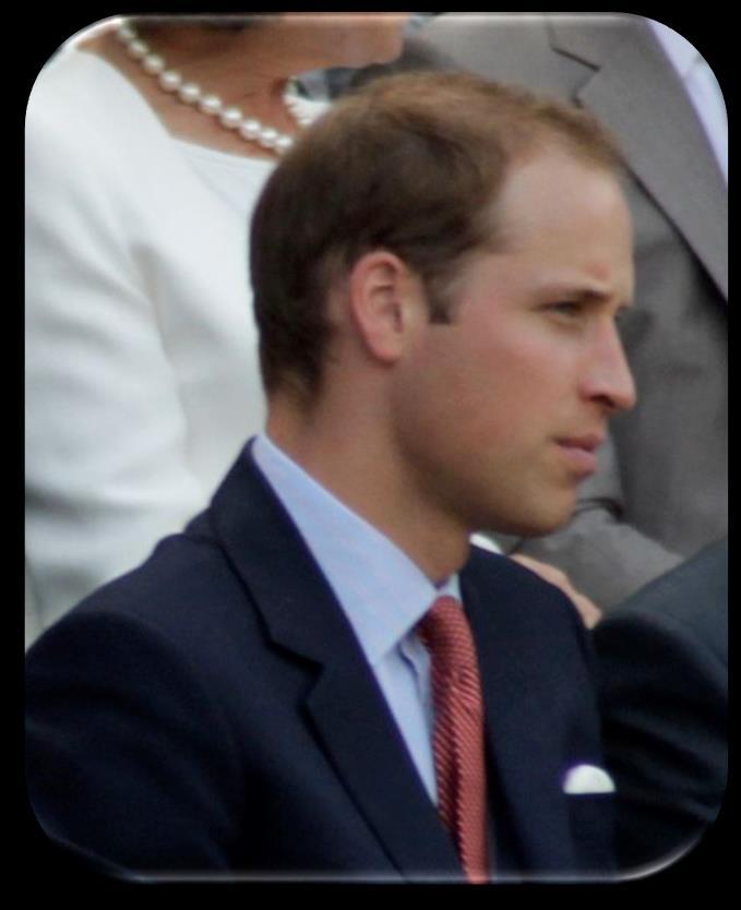 Prince William (June 21, 1982) was born in the year of the Water Dog. What is more interesting is that his year star is the Heavenly Chronology Star.