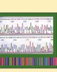 Specimens How much of the total genome of an organism is in a DNA barcode?