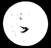 Orbit Low Earth Orbit: 185 km Habitation Module MoonRise MR EML1 Arrival 3.