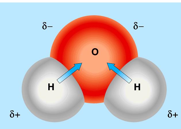To help with the shape of molecules scientists sometimes use a model called the BALL AND STICK MODEL. In the ball and stick model a ball represents an atom s nucleus and inner-shell electrons.