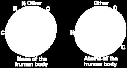 structure The Elements of the Human Body We