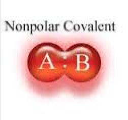 Nonpolar-Covalent Bonds Type of covalent bond where bonded atoms share electrons equally.