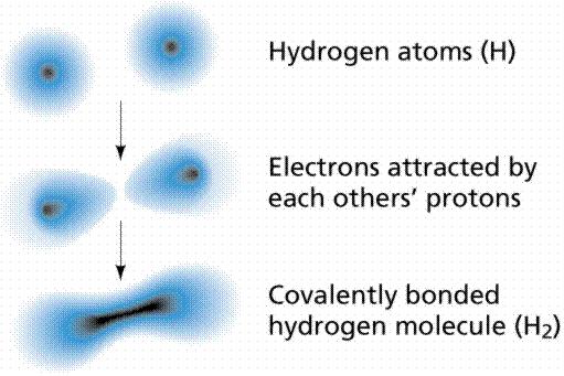 Covalent Compounds 1. A single water molecule can exist by itself or as many water molecules held together by intermolecular forces. 2.