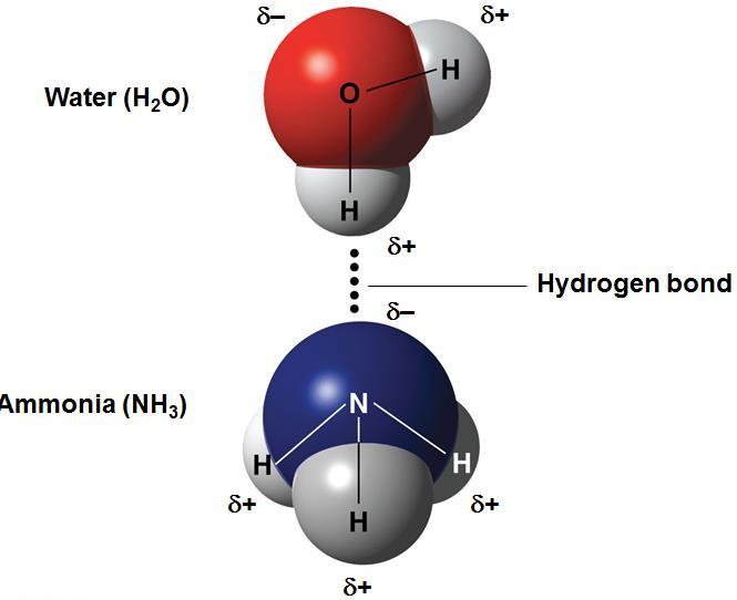 Hydrogen Bonding: A Special Case of Dipole-Dipole IMFs Hydrogen bonding is an IMF that makes molecules more attracted to each other, thus more tightly held to each other, thus